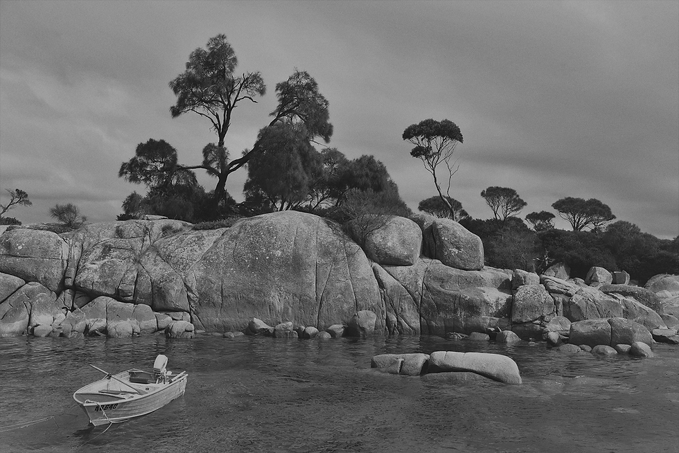 f-13-122-13312384_laya-clode-GuvVMjoPsaw-unsplash_RT1.png